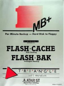 Flash Cache