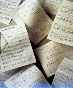 Score Perfect Professional back